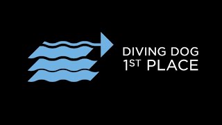 video thumbnail for: Incredible Dog Challenge 2021 - Presented by Pro Plan - 1st Place Diving Dog