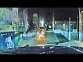 Seattle Officers Rush to Save Man Engulfed in Flames