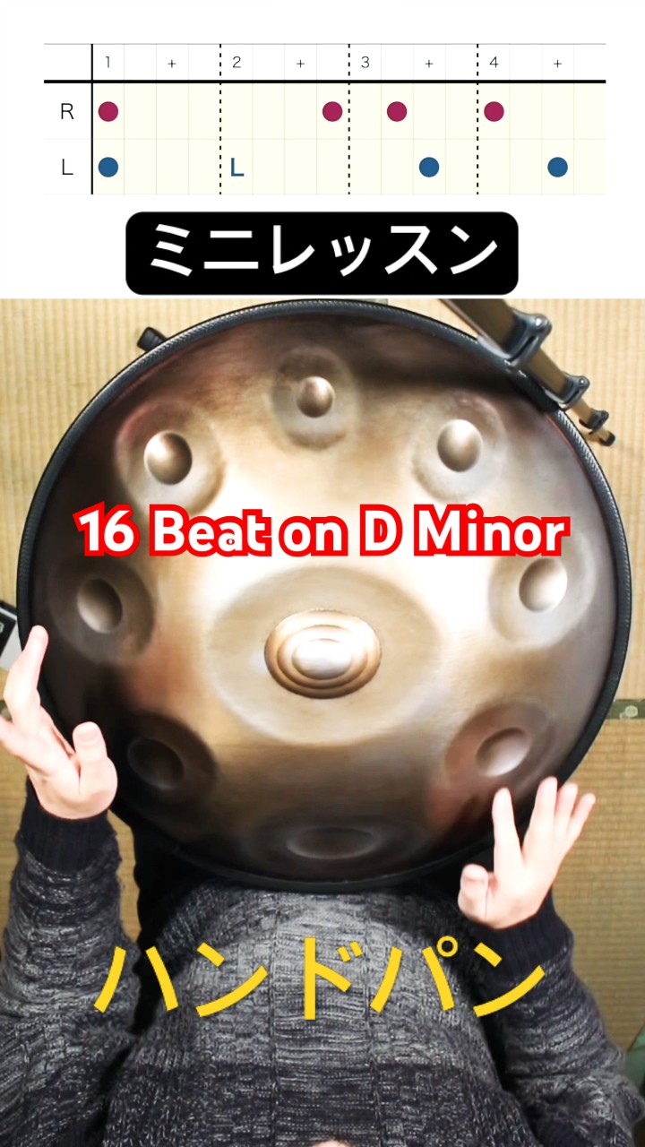 ハンドパン - handpan vibe d minor ハンドパン - handpan vibe d minor