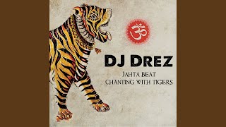 Video thumbnail of "DJ Drez - Sentient Shine"