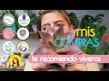 EMPRENDE con estos VIVEROS que te recomendamos/ nuevas compras