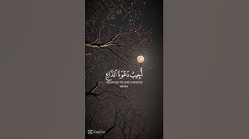 تلاوة جميلة لأيات من القرآن الكريم #قران_كريم #راحة_نفسية #اذكار_الصباح_المساء #اكسبلور #لايك #ترند