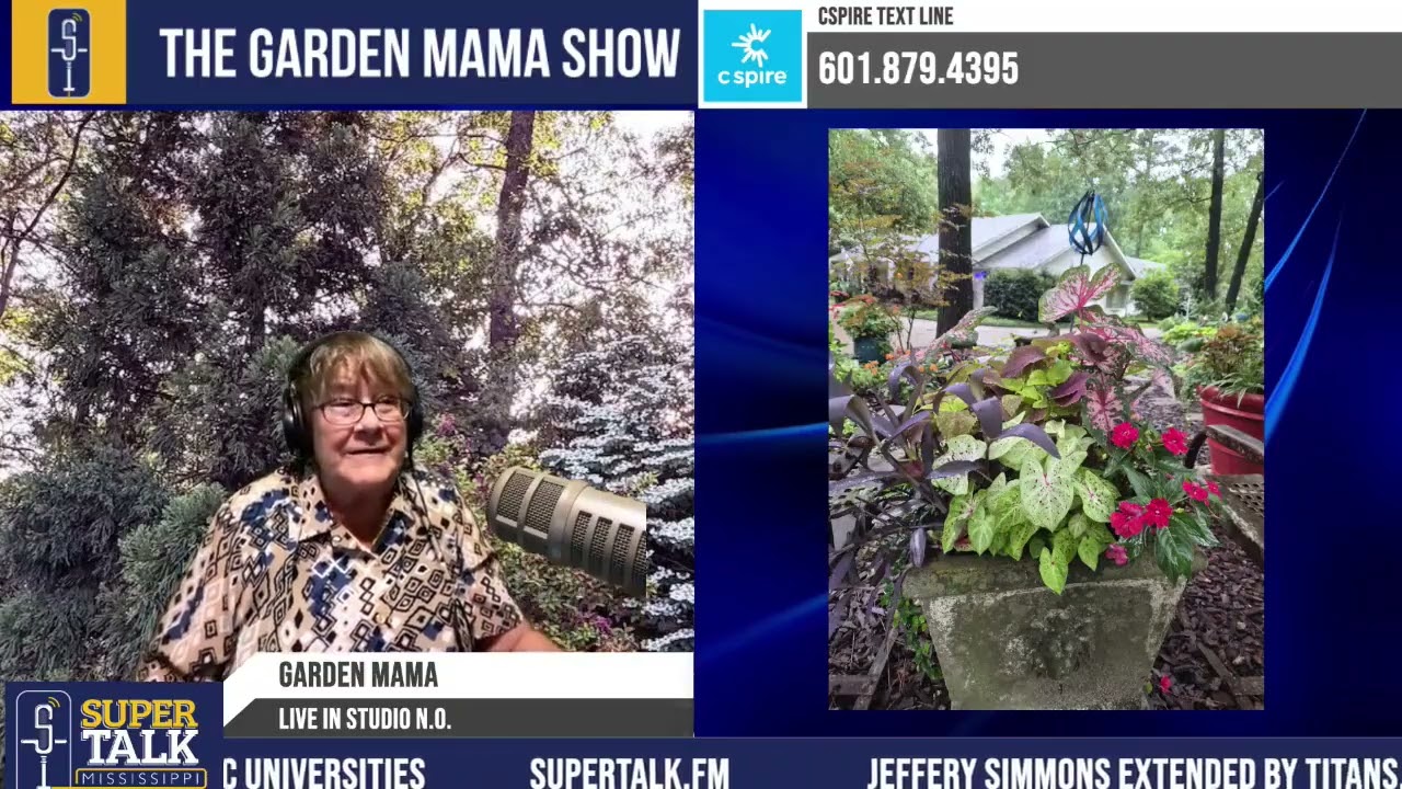 ガーデンママ Garden Mama Tackles Rainy Season Garden Problems, Plant Protection