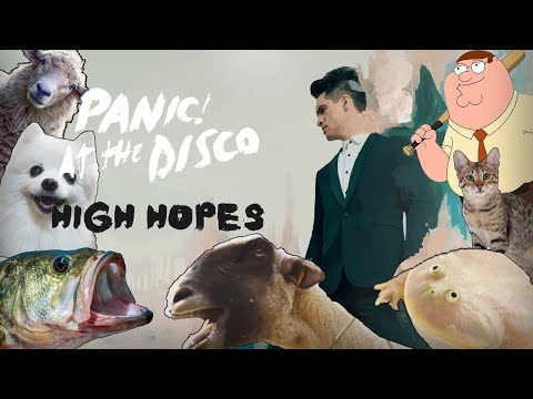 high-hopes---meme-cover