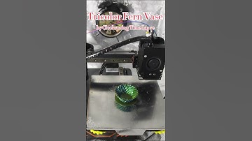 3D Printing, Tricolor Fern Vase by Clockspring Time Lapse