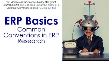 ERP Basics 6-  Conventions