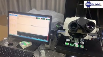 Fast Slide Scanning Microscopy System BUM950A