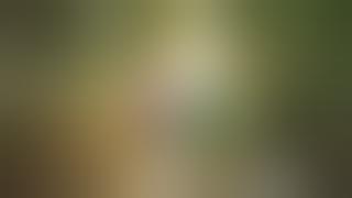 Opening Khitanan Faiz