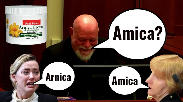 Isaac Baruch Is Seriously Confused. What Is Amber Heard's Amica Cream? Lawyer Doesn't Even Know.