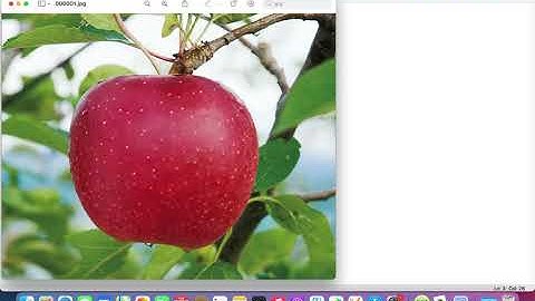 Pythonで自動画像収集