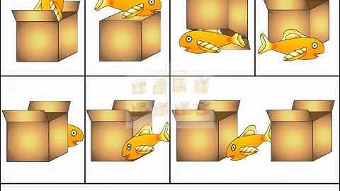 Prepositions Fish