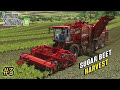 Harvest Sugarbeet in HOLMER Terra Dos T4-40 Harvester | Farming Simulator 18 Timelapse Gameplay #3