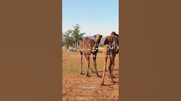 #قران_كريم #عبدالرحمن_مسعد #سورة_الغاشية# #quran #surahghashiya