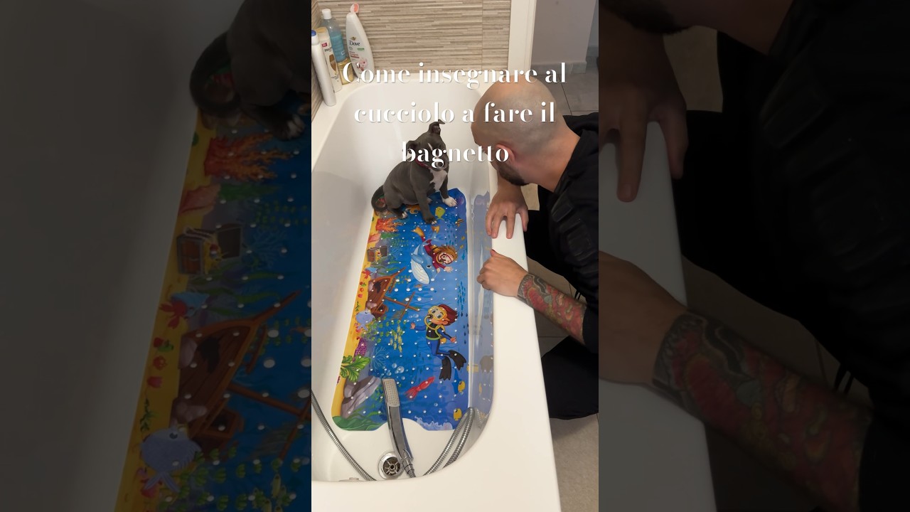 Come insegnare a un cucciolo a fare il bagnetto 