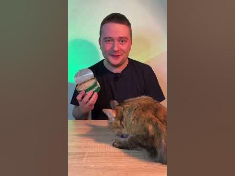 проверяем ветчину - YouTube