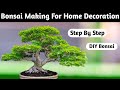 Ficus bonsai tree making for home decoration