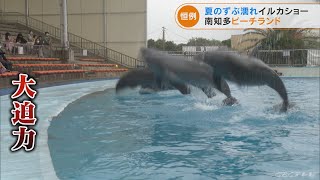 イルカが増えて水しぶき増量　夏限定のずぶ濡れショー7月16日から　愛知・南知多ビーチランド(2022/7/14)