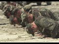 筋トレ：腕立て伏せで、対コロ特殊戦に備えよう（ネイビーシールズ）