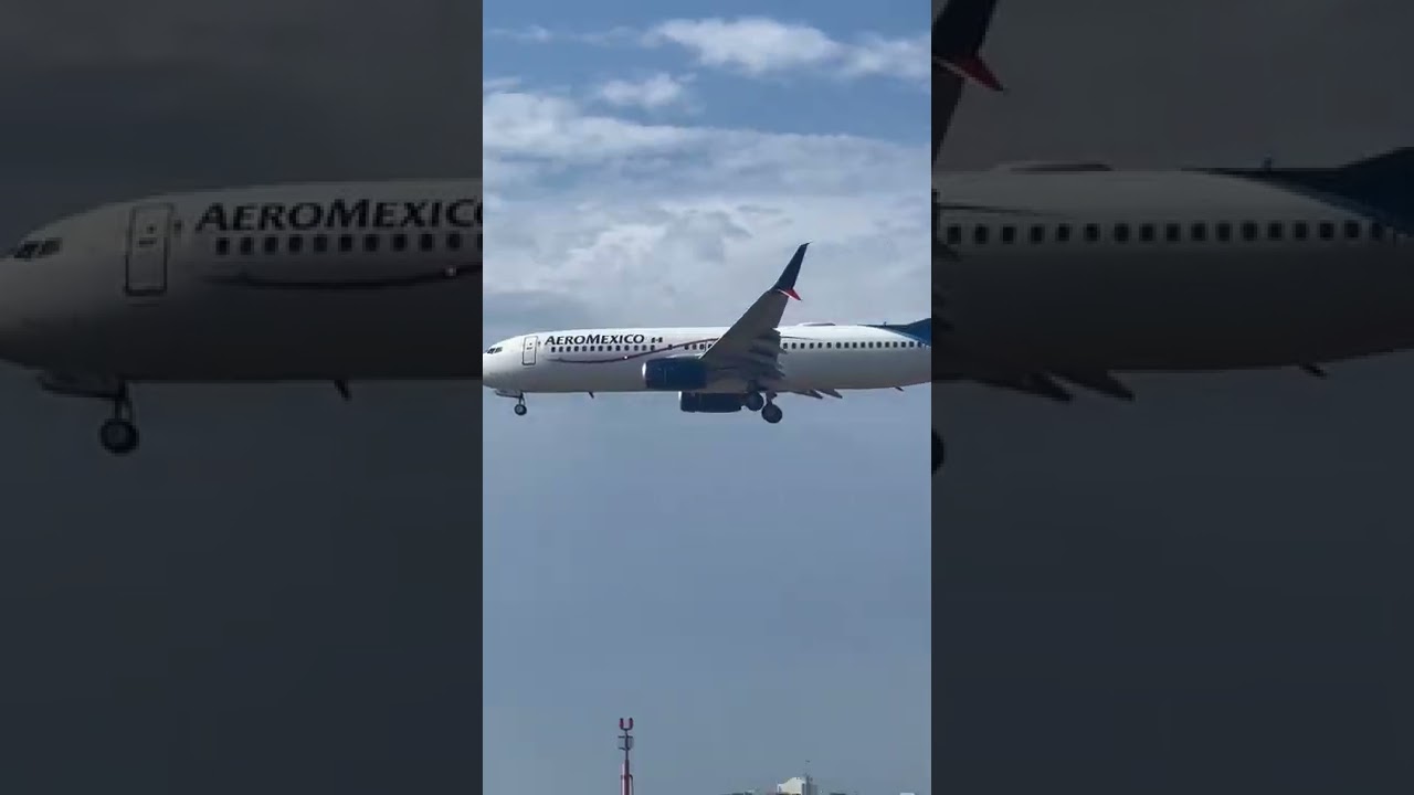 AEROMEXICO AM782 Boeing 737-86J LANDING @ LAX 