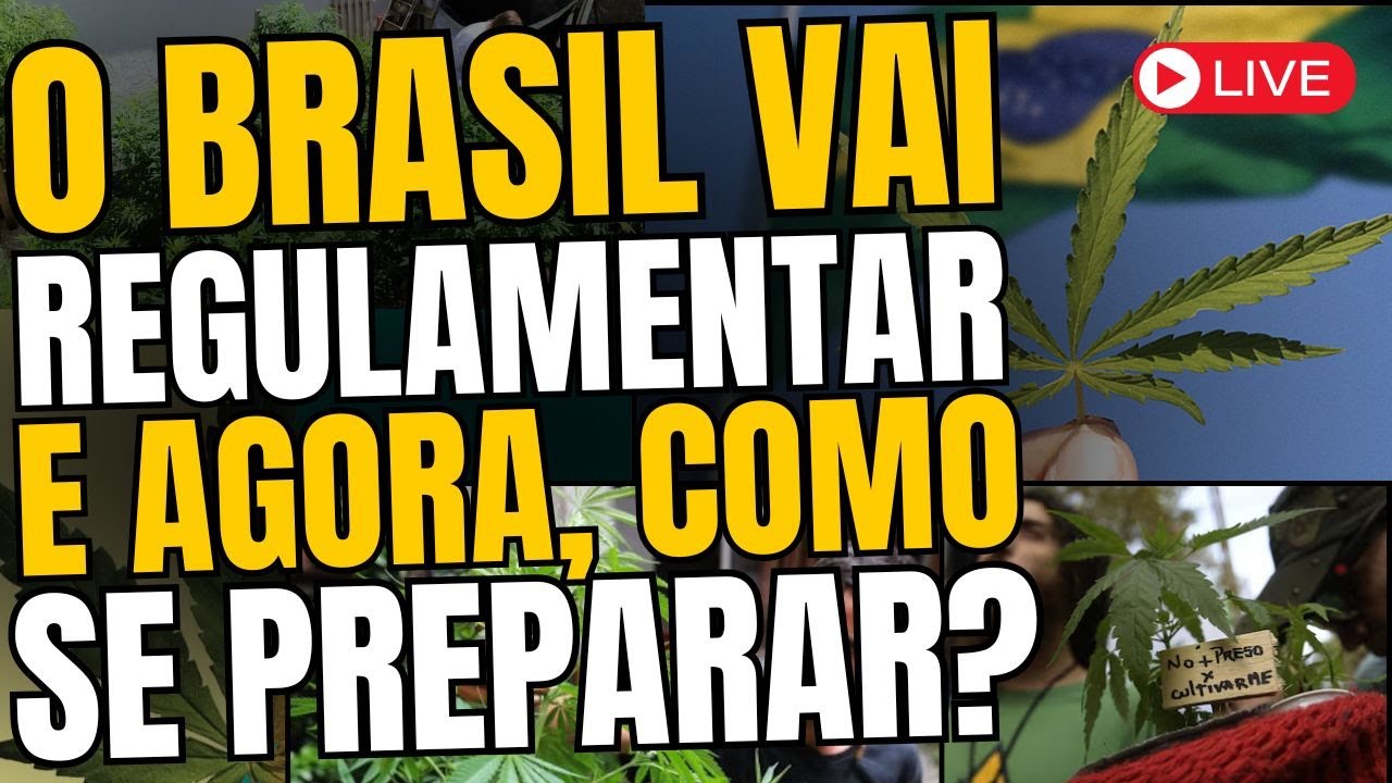 5 Passos para se Preparar para o Mercado Bilionário ($) da Planta