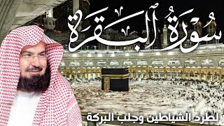 Download Lagu سورة البقرة كاملة | من أروع ما جود امام الحرم المكي الشيخ عبدالرحمن السديس Surat Al Baqarah MP3 Download Lagu سورة البقرة كاملة | من أروع ما جود امام الحرم المكي الشيخ عبدالرحمن السديس Surat Al Baqarah MP3