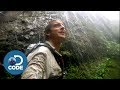 Bear Grylls in Borneo Jungle | Man vs Wild (3/6)
