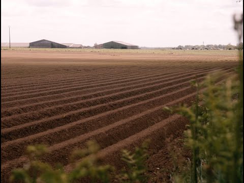 FOURCHES - Silence dans les champs
