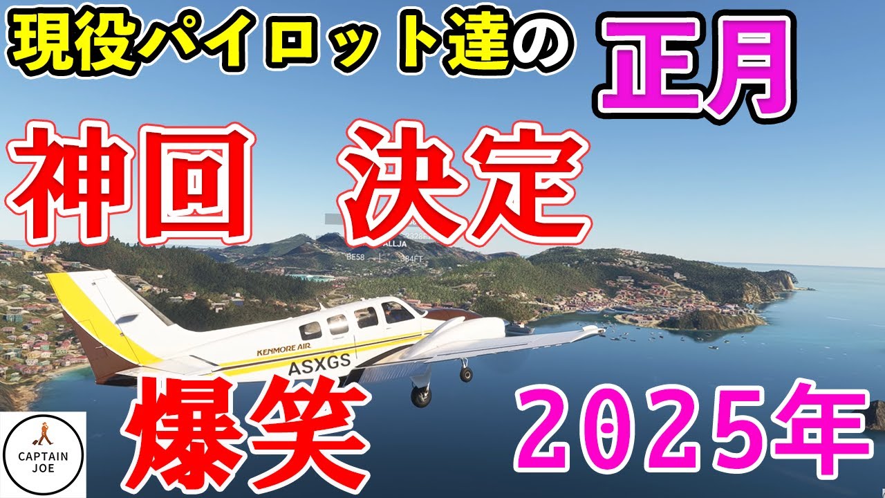 SKY HAWK II ミニアエプレーン