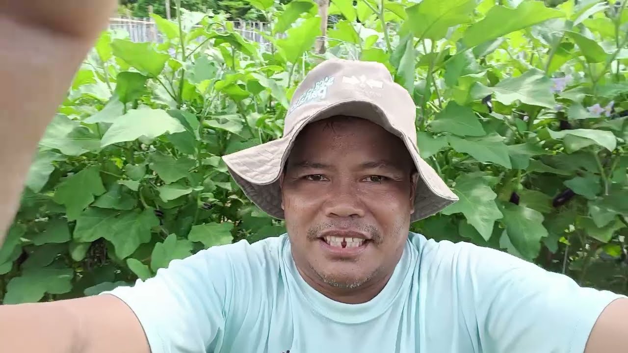 Insecticide para sa white fly 🥰 Share ko lang sa Inyo mga ka farmers 🥰