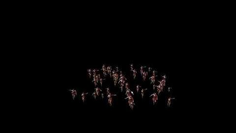 [C++ DirectX 11] Skinned Animation Instancing