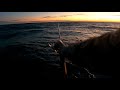 Striped Bass Fishing - POPPING BOILING BLITZING - Been a Great Season 2022