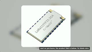 2pc/lot LoRa1121F33-2G4 2W Long Distance Sub-GHz 2.4GHz S-band (Satellite Band) Multi-band SPI Port