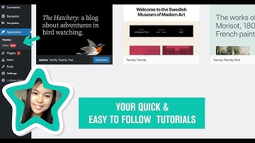 Wordpress Appearance Customize, Widget, Menu and background, theme file Editor are missing