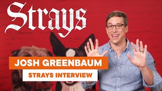 Josh Greenbaum on directing dogs in Strays, and why you probably wont see a sequel starring cats
