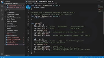 Golang Deep Dive P1 - L28 - Set and Get Functions