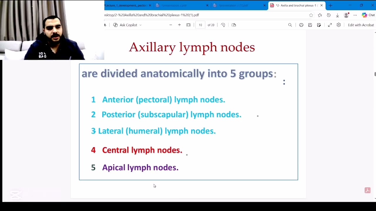 2-Anatomy - MSK - axilla and brachial plexus (menofia)