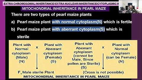 BWA | EXTRA CHROMOSOMAL INHERITANCE  IN MITOCHONDRIA [Eng]
