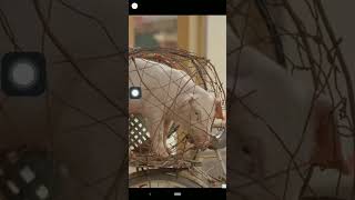 Hướng Dẫn tải BEMIL trên Android (BEMIL BY MMG) screenshot 5