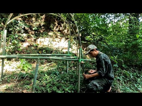 Surviving the Jungle: How I Built a Bamboo & Plastic Wrap Shelter - YouTube