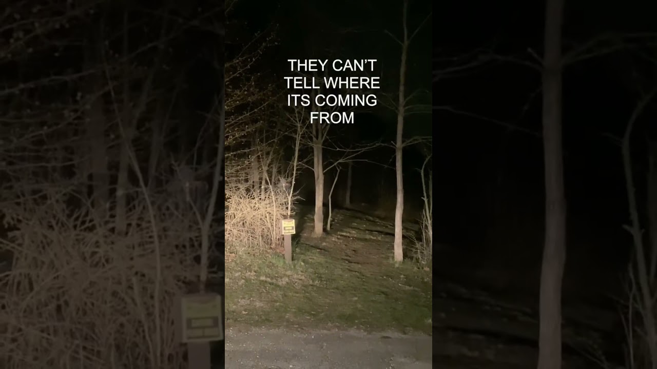 DON’T GO NIGHT FISHING 😱 SCARY AF