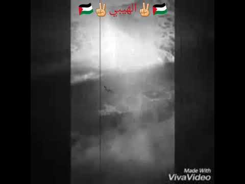 سكلانص فلسطين كل حكام العرب كلاب وعرصات 