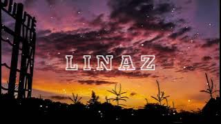 Sarah Blasko - All i want (BENY remix)