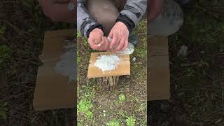Best DIY Fire Starter! 🪵🔥 #bushcraft #campfire #shorts #survivalskills