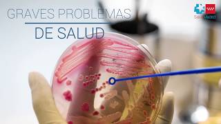 Unas manos limpias como garantía de salud...