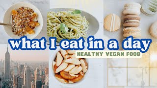 Vegan What I Eat in a Day! Healthy Meals and Plant-Based Treats by NikkiVegan 22,202 views 4 weeks ago 13 minutes, 3 seconds