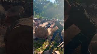 STIHL Ms 500 i 🔥⚙️💪🏻🔝🇷🇴 Și bușteanul de FAG 🪵