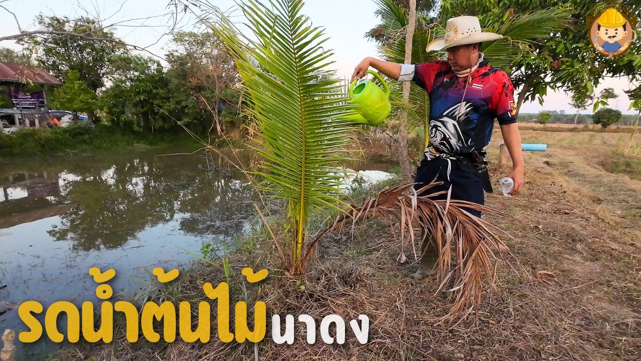 รดน้ำต้นไม้ รอบบ่อนาดงเกษตรช่างเหลิม