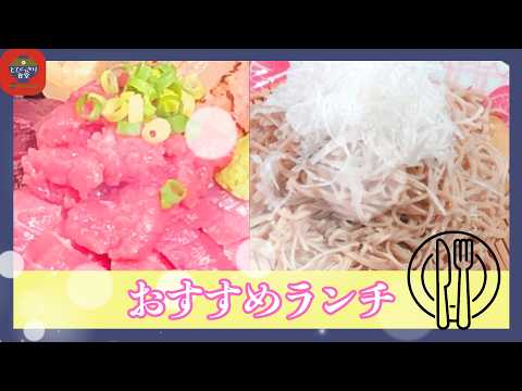 【静岡グルメ】【とびっきり食堂】デイジーカクテルズ（焼津市）/ そば工舎 つくしんぼう（富士宮市）