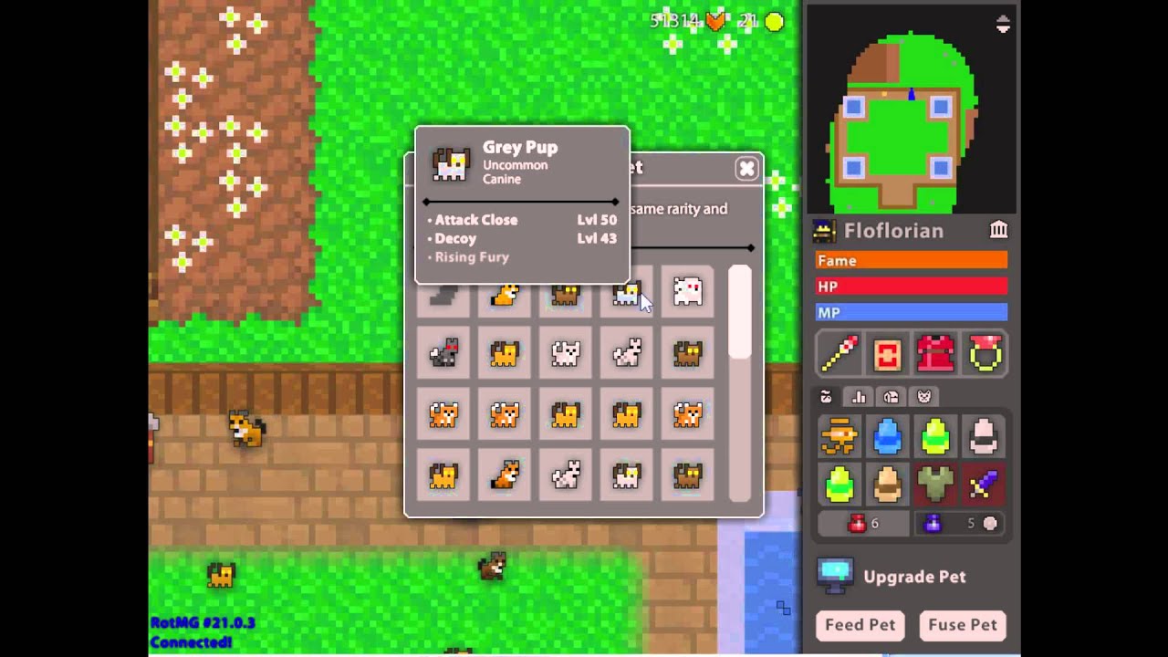 [Rotmg Floflorian] Feeding my Pet Part 3 (Rare) YouTube