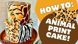 How to make an Animal Print Cake! Learn 4 different fondant animal prints and how to combine them!